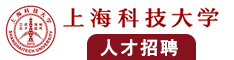 日漫少妇在厕所被男生鸡扒捅高清网站