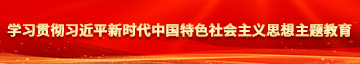 大屌操黑逼学习贯彻习近平新时代中国特色社会主义思想主题教育